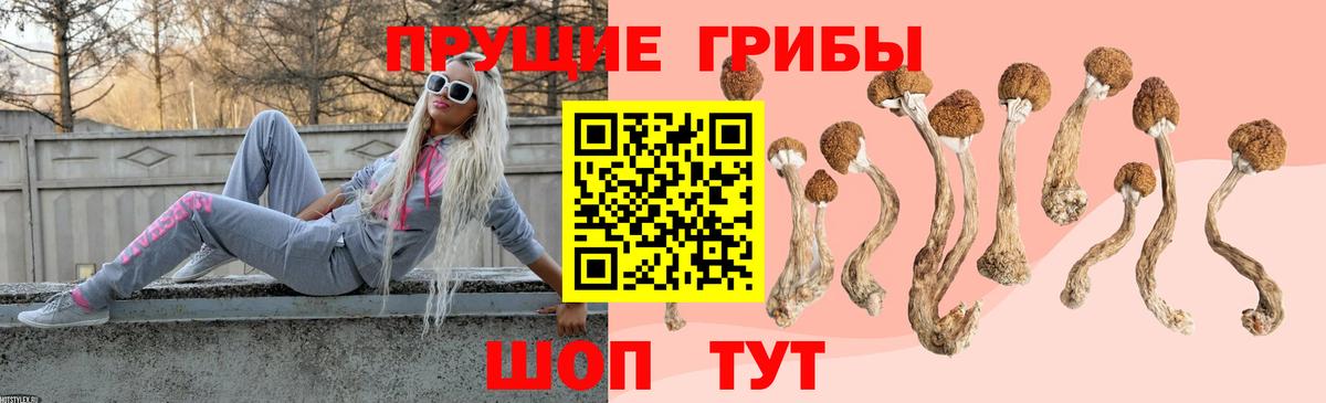 Волоколамск  Псилоцибиновые грибы MAGIC MUSHROOMS  Вход с VPN 